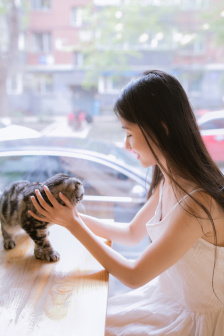厨房征服贵妇秦风英